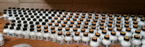 Wedding Favors - Corporate Gifts